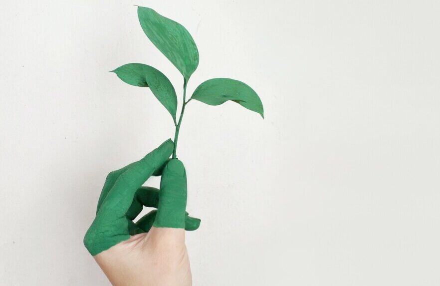 Mano pintada de verde sosteniendo un tallo de una planta.
