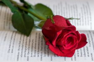 Rosa y libro para celebrar Sant Jordi.